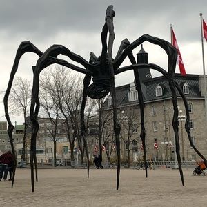 Meet your Posher, Molly